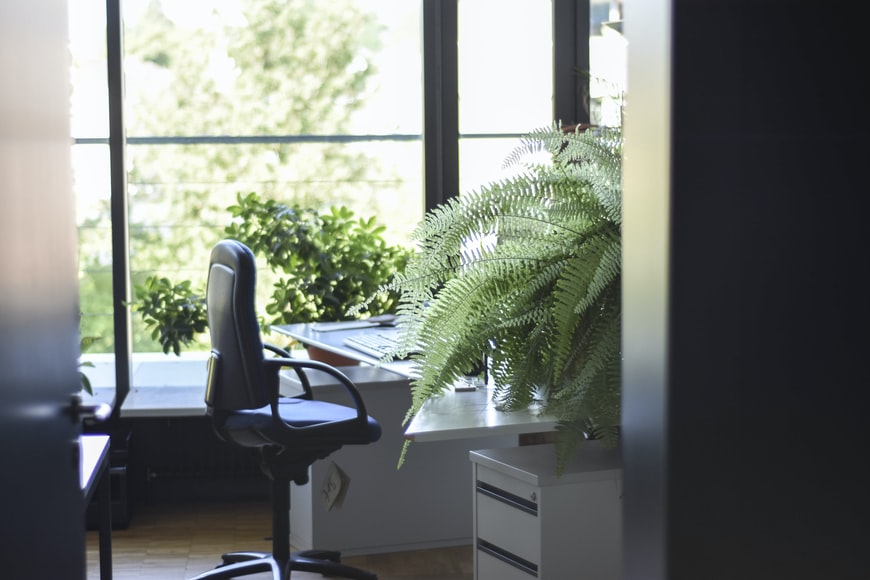 Environmentally-Friendly at Your Office: Let’s Create It!